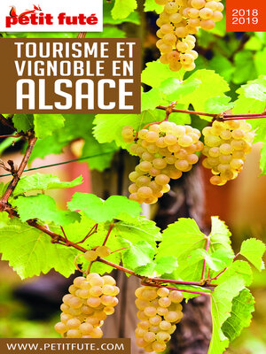 cover image of TOURISME ET VIGNOBLE EN ALSACE 2018/2019 Petit Futé